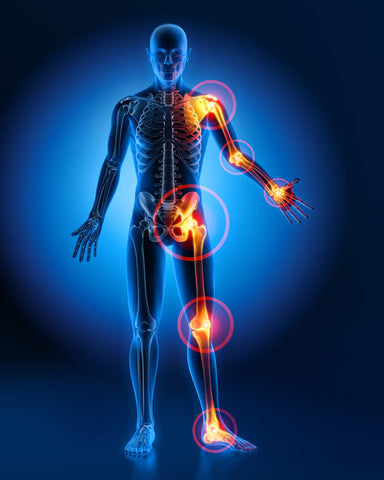 Quick Manual Therapy Techniques for Musculoskeletal Pain Relief Dec 7-8, 2024 MAUI, Hawaii