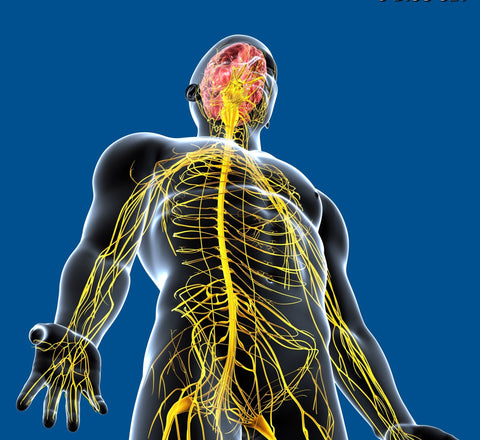 Eliminating Multiple Nerve Compression Patterns Combination, Dallas TX February 15-16, 2026