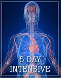 Five Day Intensive, Pottstown, PA January 6-10, 2027
