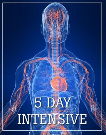Five Day Intensive, Dallas/Fort Worth, TEXAS October 21-25, 2026