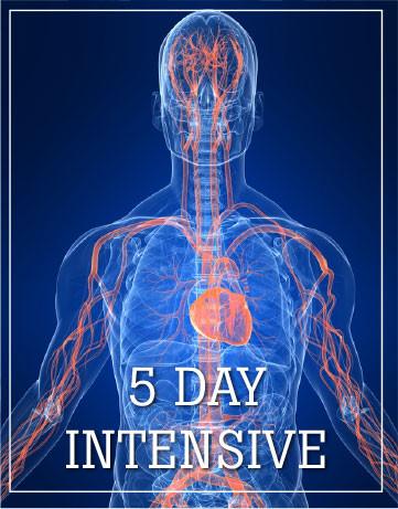 Five Day Intensive, Dallas/Fort Worth, TEXAS October 25-29, 2023