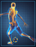 Elite Sports Therapy Dallas Texas October 3-4, 2026